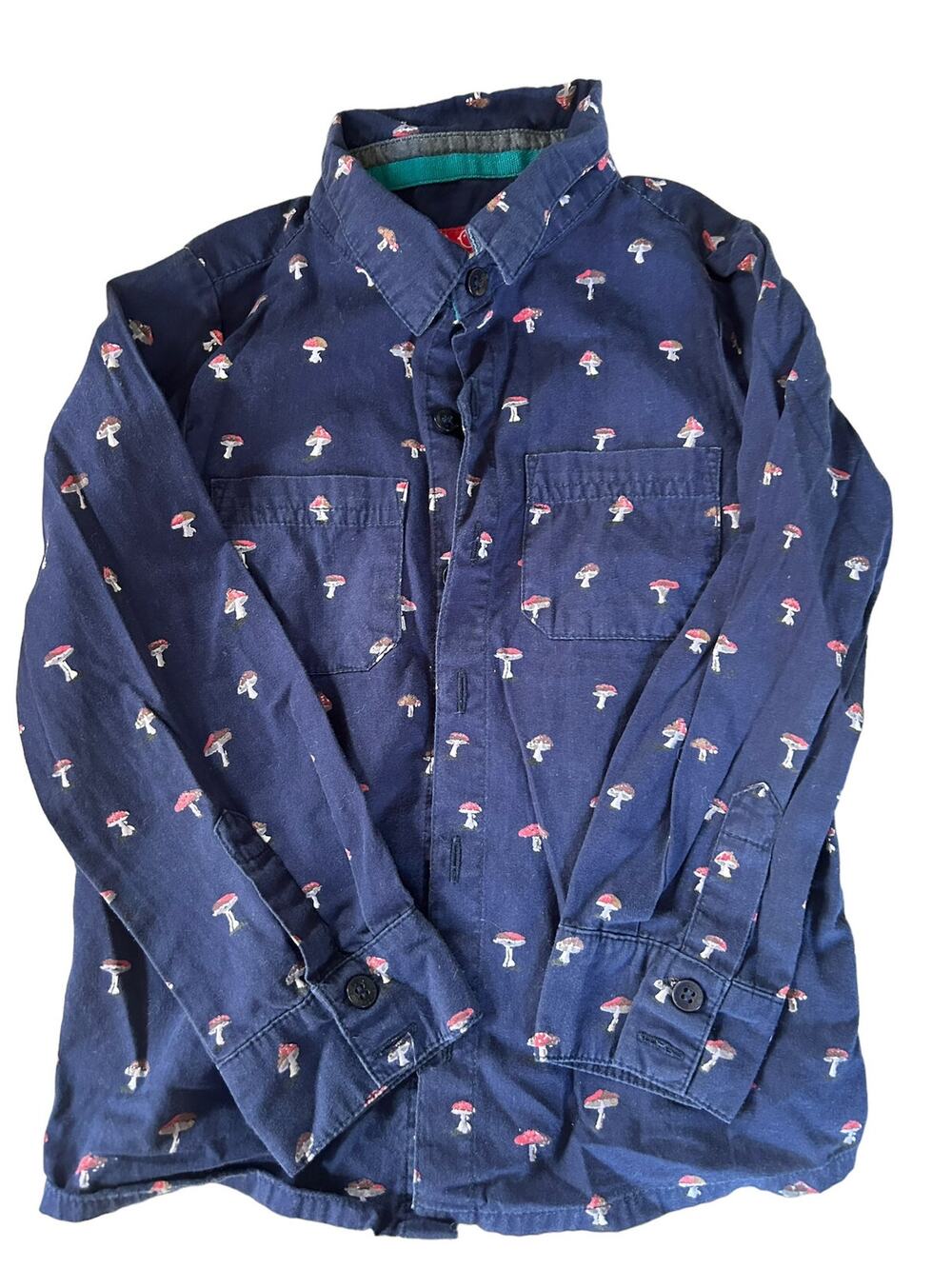 Little Bird Button Up Mushroom Shirt 4-5